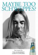 Schweppes Lemon Dry史威士柠檬干的平面广告