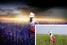 Photoshop打造偏暖的蓝褐色草原人物图片
